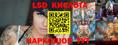 тгк Новодвинск