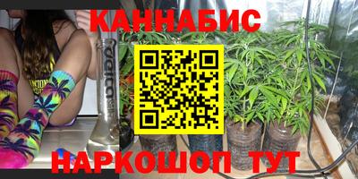 тгк Новодвинск