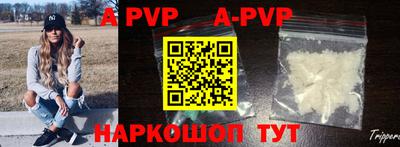 тгк Новодвинск