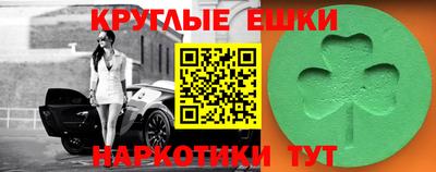 тгк Новодвинск
