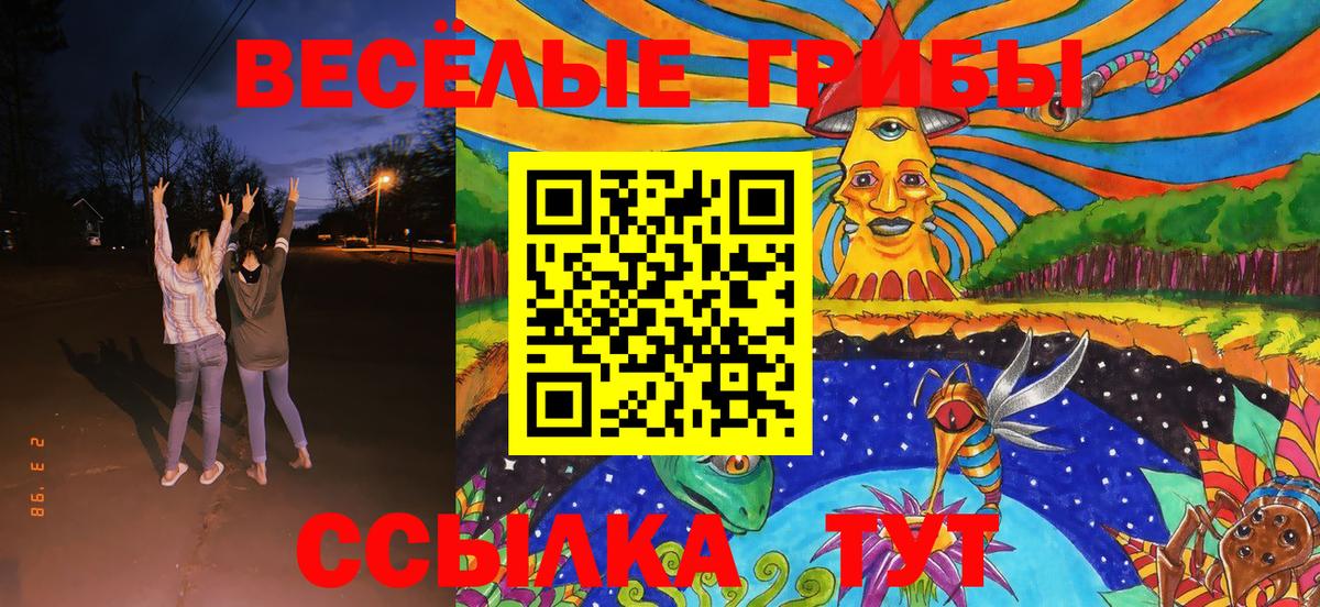 Галлюциногенные грибы Cubensis  Вход с VPN  Ступино  Галлюциногенные грибы MAGIC MUSHROOMS 