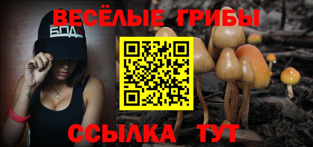 Галлюциногенные грибы мицелий Ступино